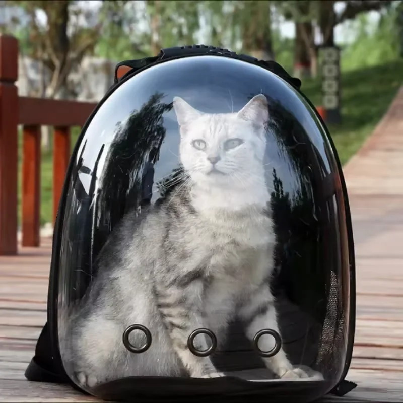 Portable Capsule Cat Bag 1