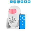1Alarm  1Remote