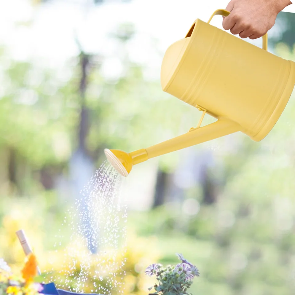 Arrosoir 9 Litres Avec 2 Buses Amovibles - Long Bec Pour Jardin, Plantes D'Intérieur Et Extérieur, Plastique Robuste