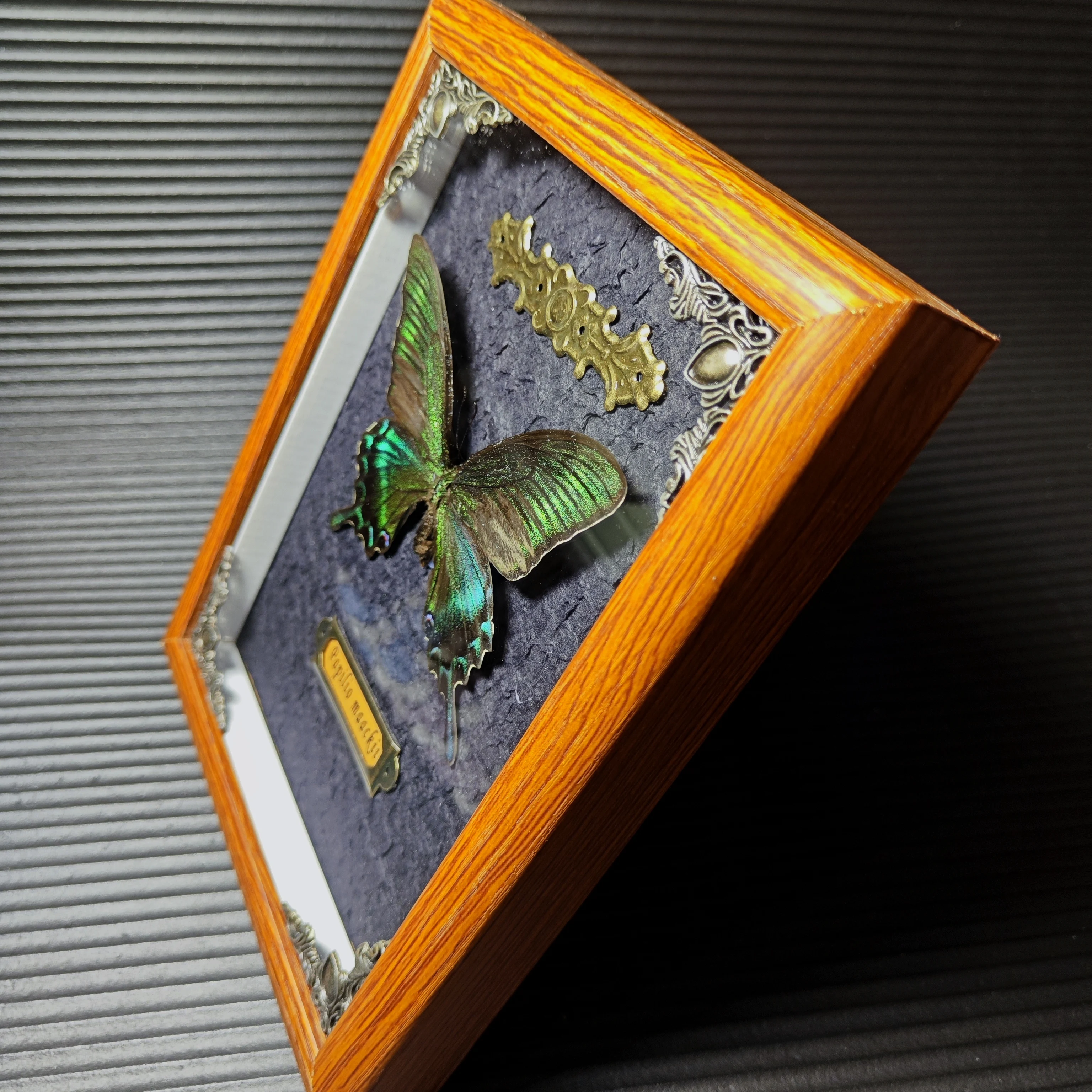 Real butterfly wood Picture Frame specimen Home decoration Birthday gift 2