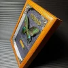 Real butterfly wood Picture Frame specimen Home decoration Birthday gift 2