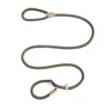 Dog Rope Sliding Traction Control Without Pull Loop Belt, Durable Leather Joint and Adjustable Metal Buckle P-shaped pet collars 6