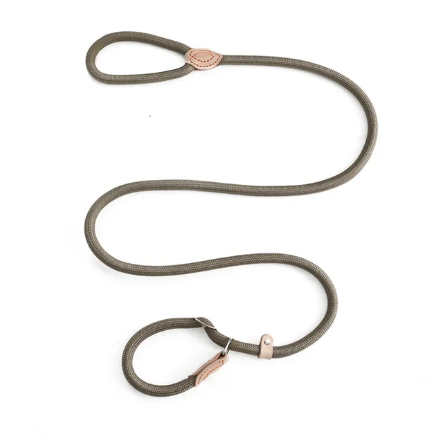 Dog Rope Sliding Traction Control Without Pull Loop Belt, Durable Leather Joint and Adjustable Metal Buckle P-shaped pet collars 6