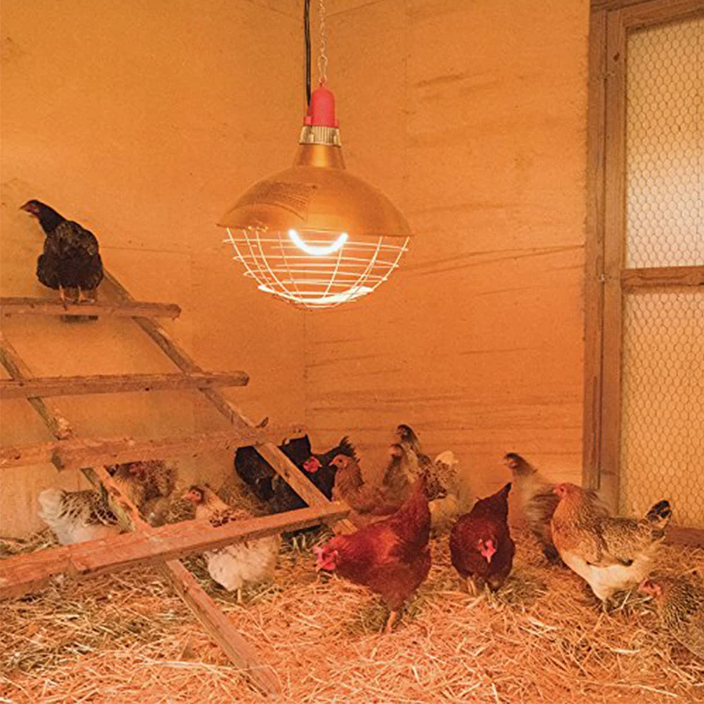 Veterinary Farm 220v Insulation Lampshade Brooding Chicks Heating Lamp Two-speed Temperature Adjustment Livestock Husbandry 6