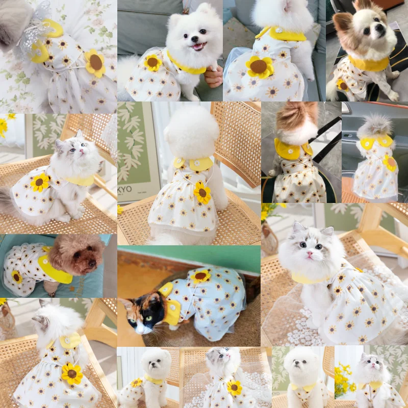 Dog Princess Dress 2
