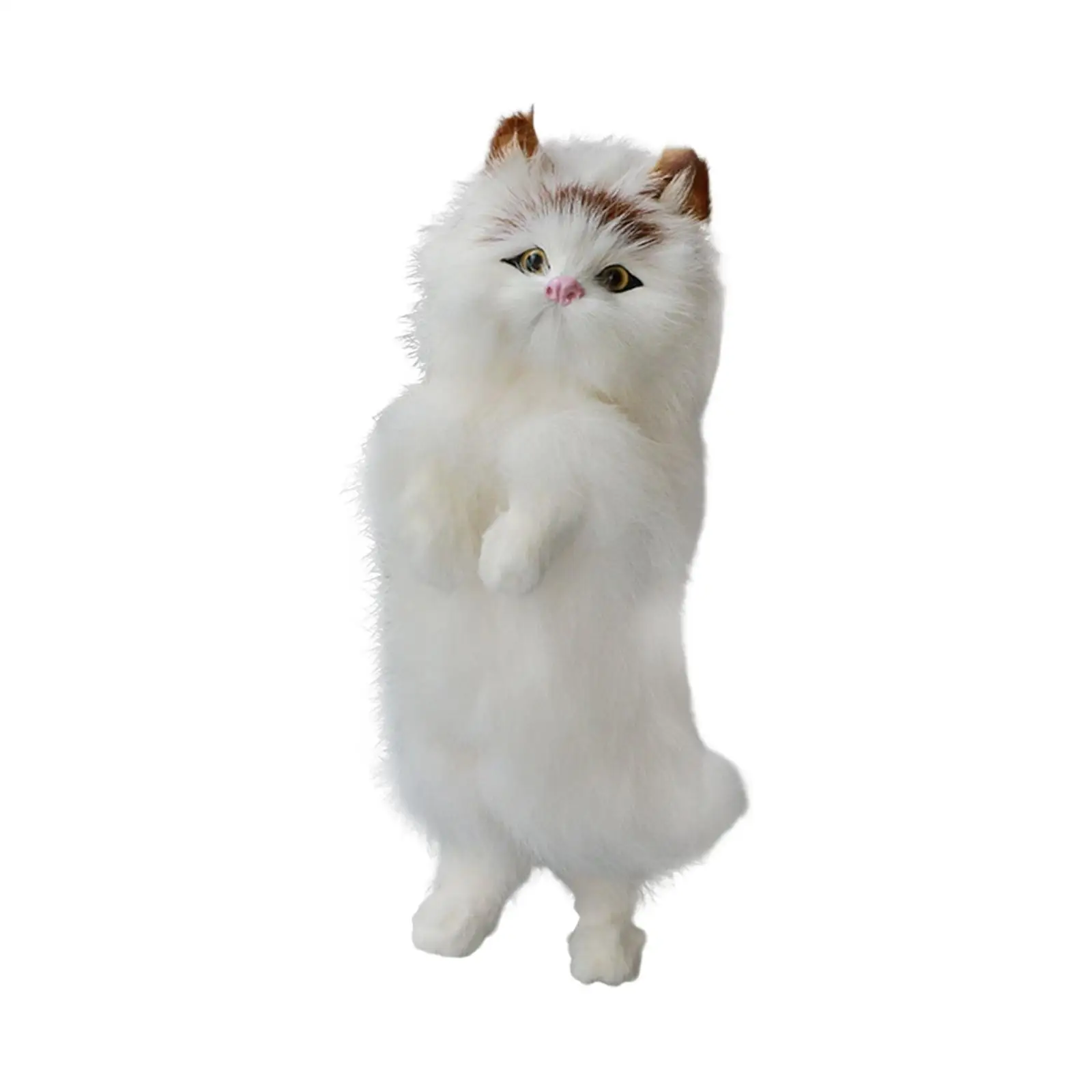   峭  ÷        峭 Ϳ  , Ȩ 