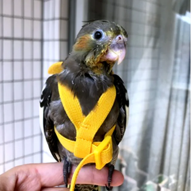 Adjustable Parrot Bird Harness Leash Set Anti-bite Training Harness Parrots Outdoor Flying Rope Cockatiel Small Birds Supplies 2