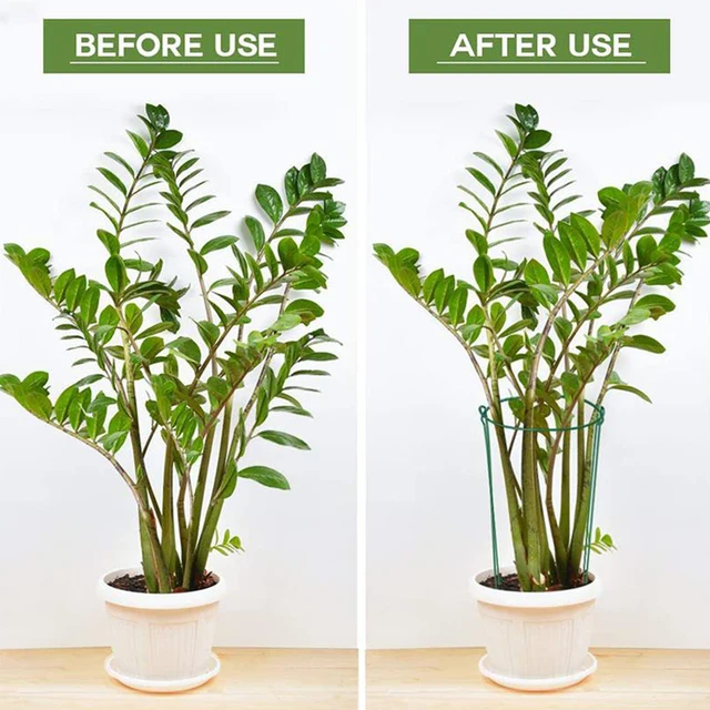 Félkerekes Kerti Növényi Tartó Támogatás Tét Fém Íj Típusú Virág Gyűrűs Állvány Háztartási Kertészkedés Bonsai Szerszám - Image 5