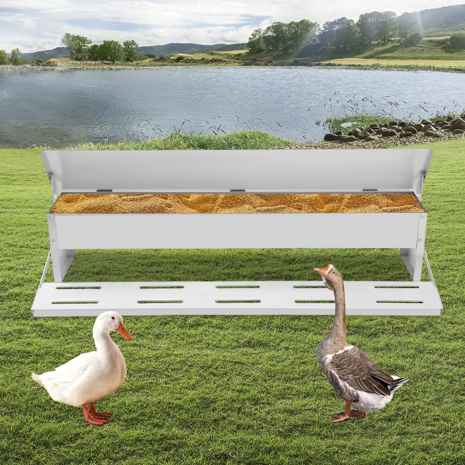 16576-0c400c.jpg Automatic Chicken Feeder Automatic Galvanized Feeder w/Weatherproof Lid Large Capacity Poultry Feeders Treadle, Load 10kg/22lbs