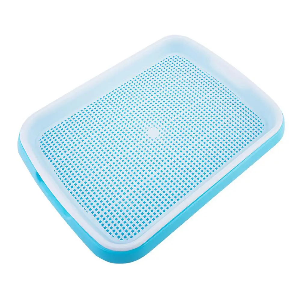 Seedling Tray