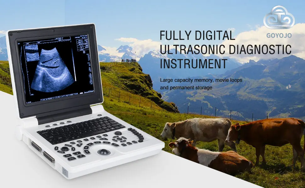 Ultrasound Scanner Veterinary for Pregnancy, Vet Portable B-Ultra Sound Scanner