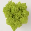 Yellow green
