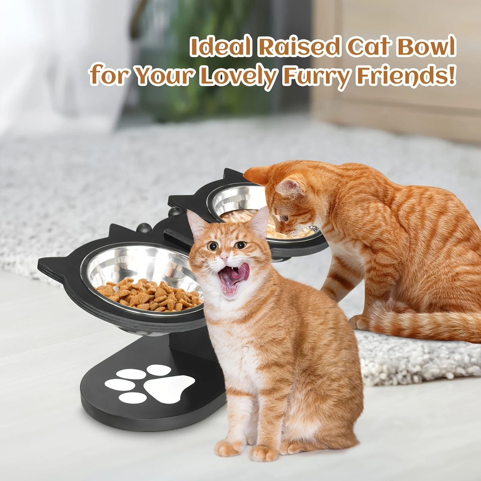 Elevated Cat Feeding Bowls 3