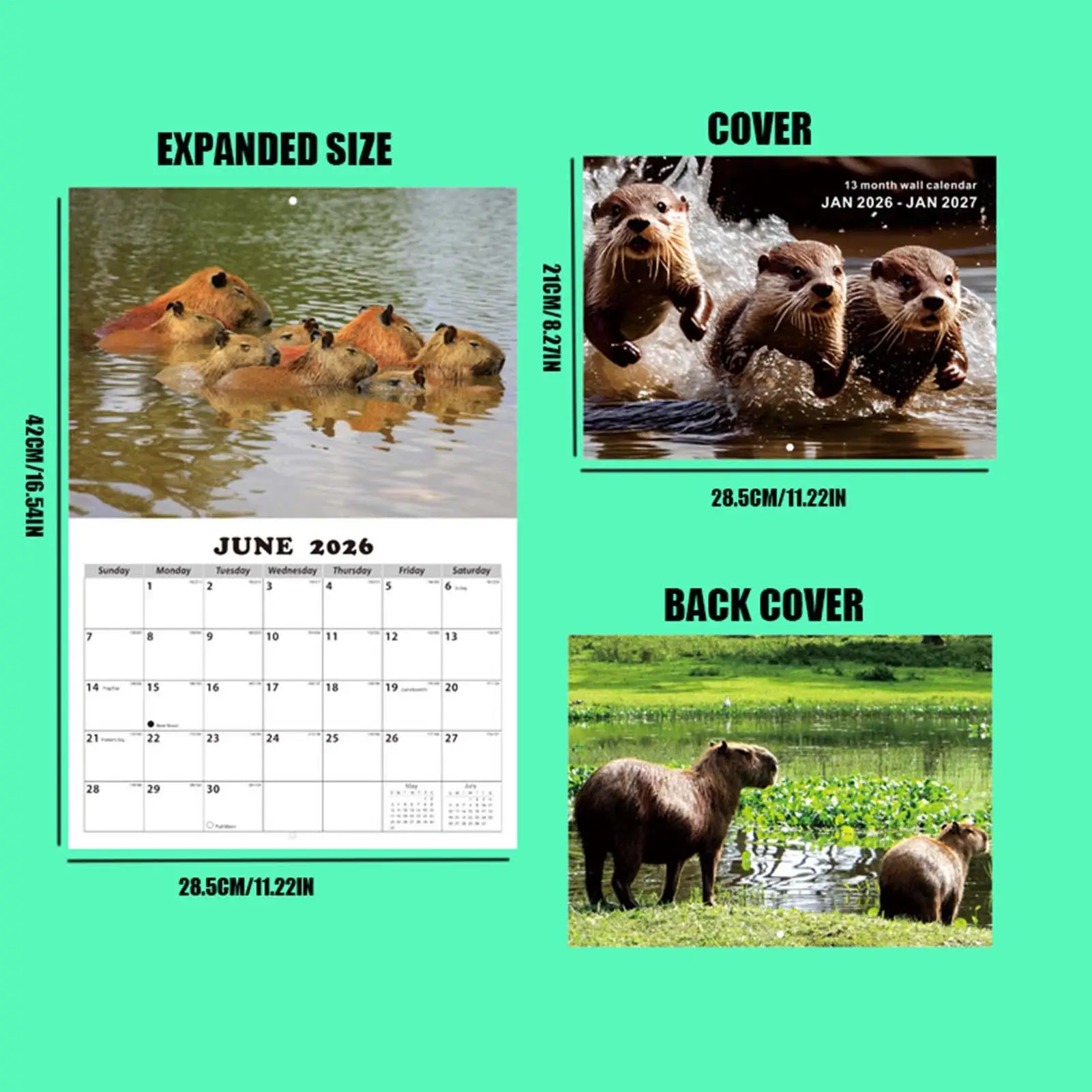 Calendar For Wall English Schedule Planner Wall Mount Month Calendar For Students Kids Teens Adults Teachers Dining Room