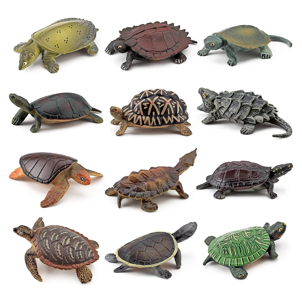 Realistic Turtle Action Figure Animals Figurines Kids Children Toys Models Miniature Aquarium Figures Ocean Sea Life Models Gift