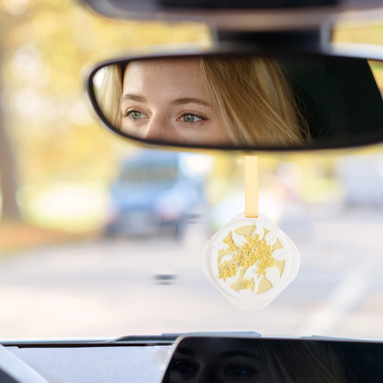 �Ʒθ� �׶��� ���Ʈ �ڵ��� ������ ���� ��ǻ�� Gardenia �׼����� ������ ��� ���� û���� ����