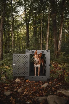 Impact Collapsible Dog Crate - High-Strength, Powder-Coated Aluminum Construction with Portable, Space-Saving Design for Home 6