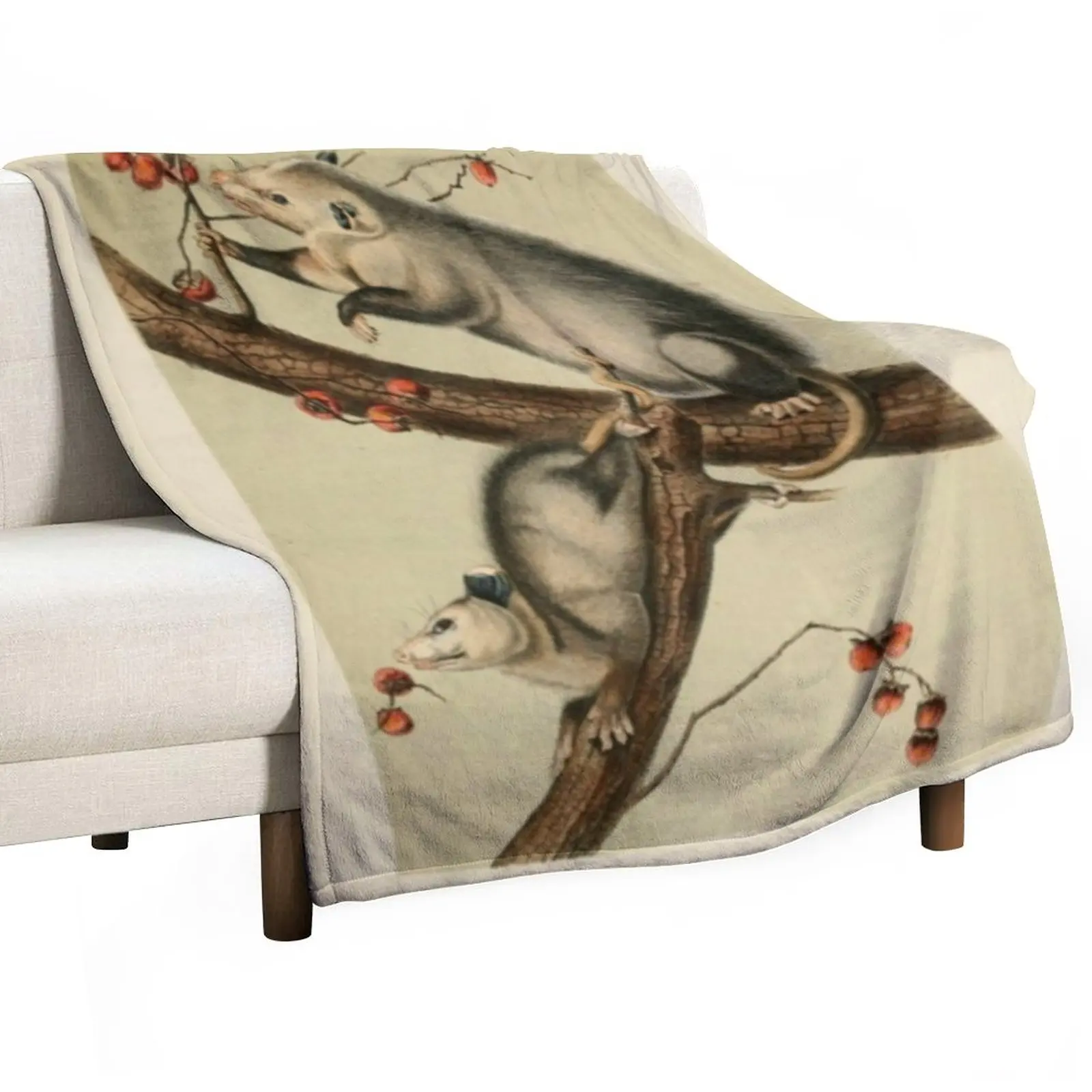 

Naturalist Opossum Throw Blanket Blanket Sofa Hairy Blankets Blanket Luxury Giant Sofa Blanket