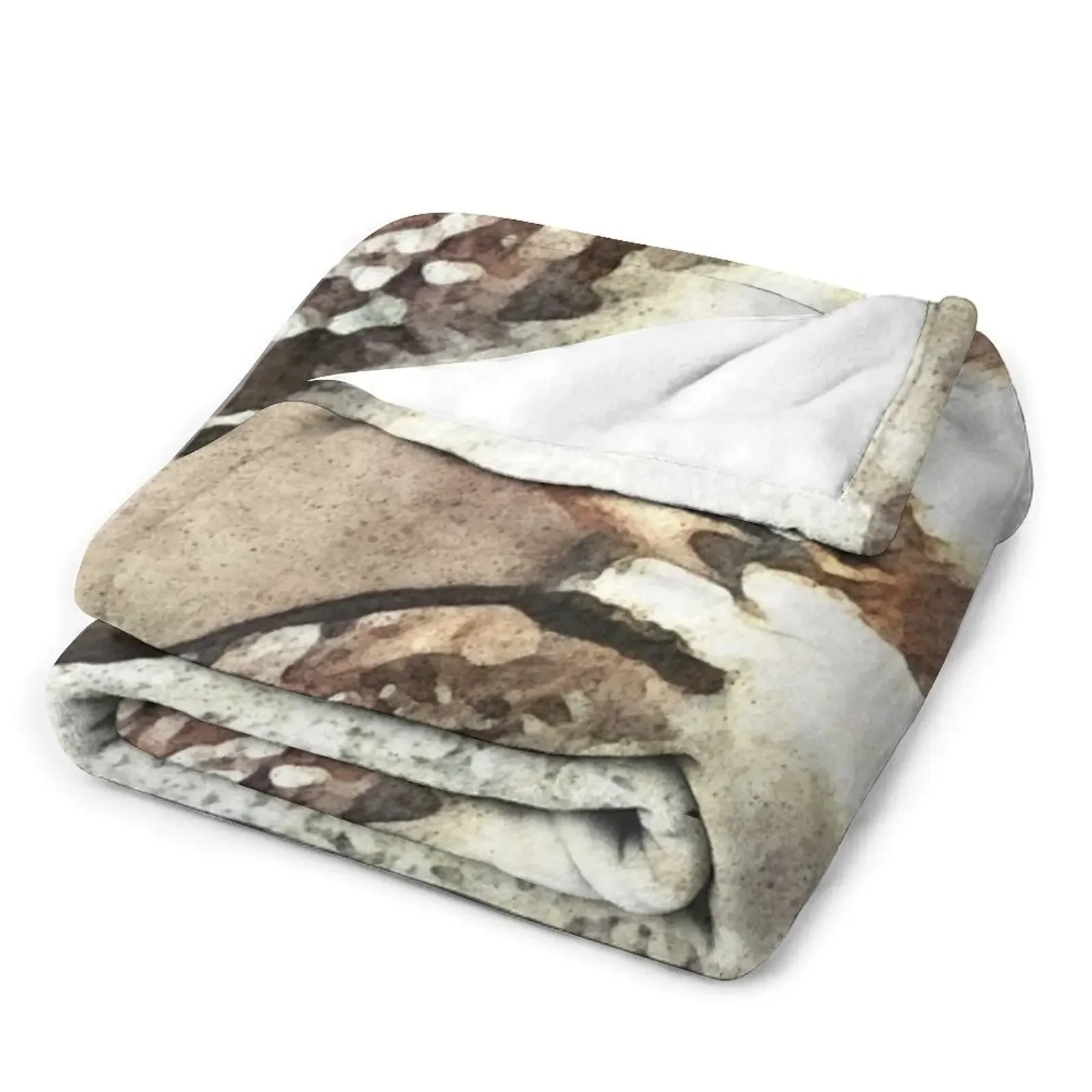 ȣ�� ��ī�ζ� �� ������ ���, ���� ǫ���� �ε巯�� ���