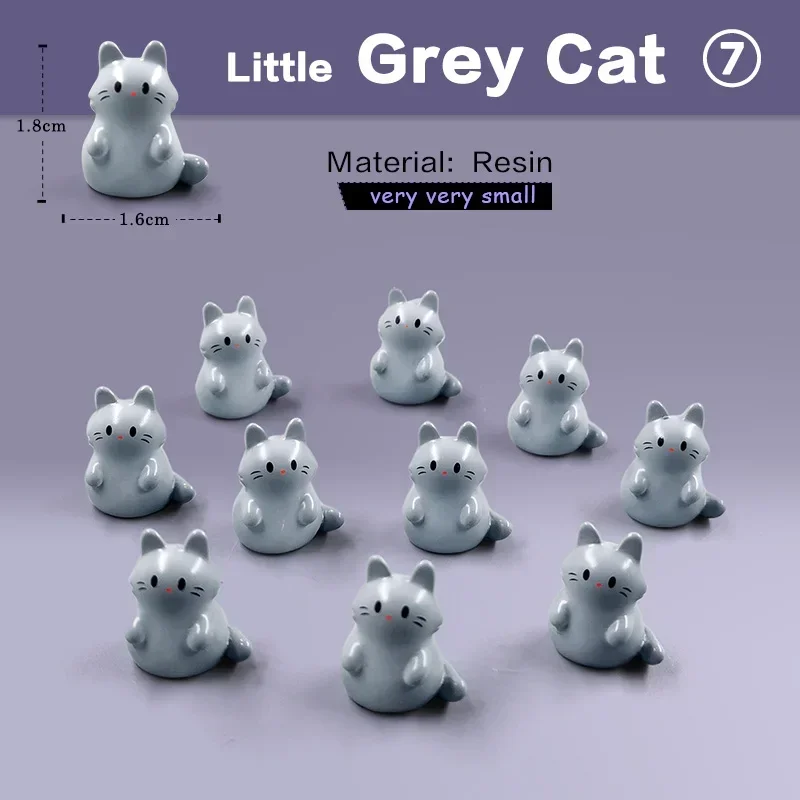 A gray cat