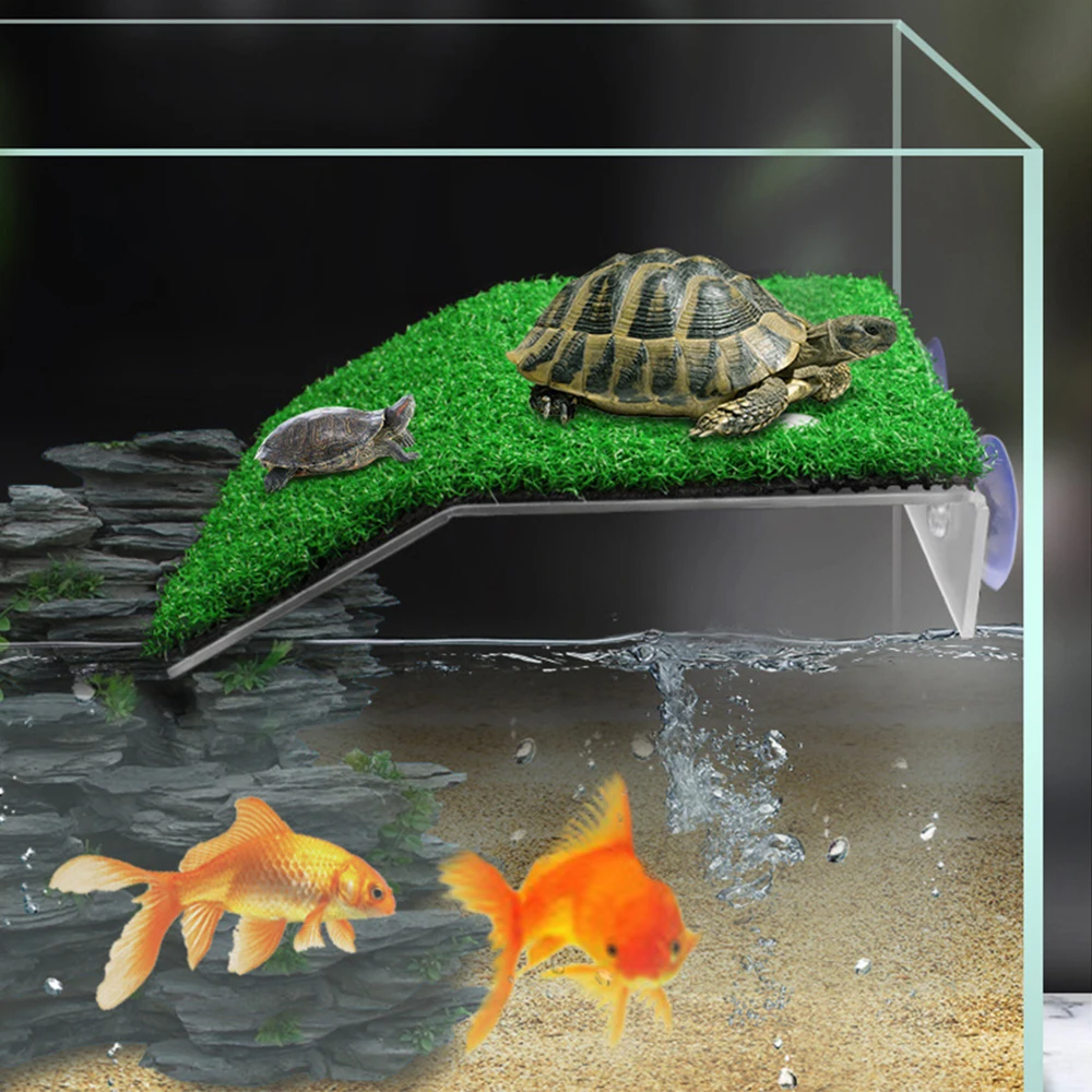 Turtle Climbing Platform with Suction Cup 5