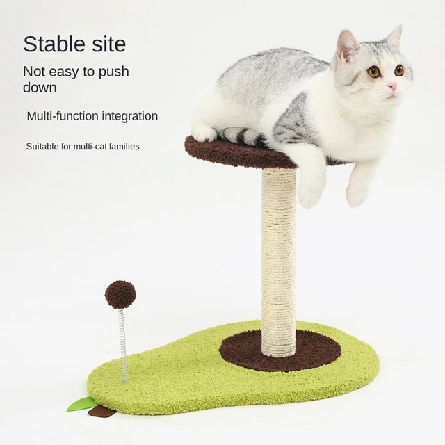 Parque de juegos de árbol de nido de marco de escalada para gatos, casa de  árbol de gato grande, Centro de Actividades, torre de árbol, productos para  mascotas de gatos - AliExpress