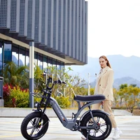 Nouveau modèle 20 pouces cadre en alliage d'aluminium 7 vitesses neige plage gros pneu Ebike 750 watts gros pneu Fatbike vélo électrique 3