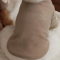 Amour hiver chaud chien vêtements chemise de Base mignon amour ours Teddy Yorkshire à capuche chat animal de compagnie vêtements chauds concepteur chiot vêtements 2