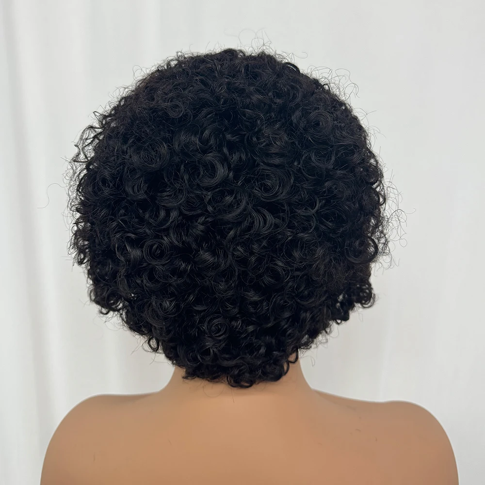 13x4  Lace Short Bouncy Kinky Curly Pixie Cut 100% Human Hair Wig 180 Density Transparent Lace Frontal Hair Wig for Black Women