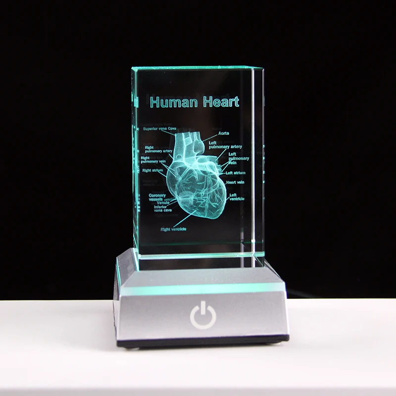 3D Laser Engraved Heart Organ Model Crystal Cube Human Anatomical