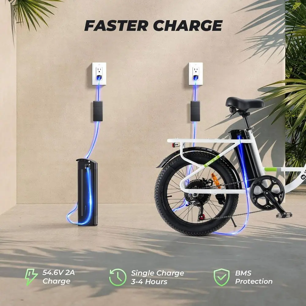 Cargo Cruiser Electric Bike 5
