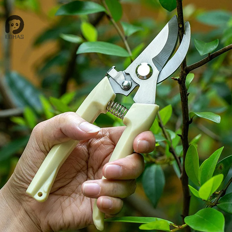 Pruning Garden Scissors Professional Garden Trimmer Orchard Scissors Hand Tools Bonsai Gardening Chopper Pruning Scissors