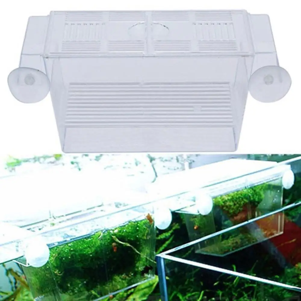 Fish Breeding Box Aquarium Fish Tank Guppy Double Breeding Breeder Rearing Box Fish Tank Aquarium for Accessories equipment