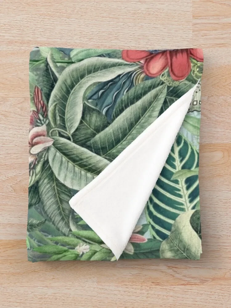 Ʈ������ �Ķ���̽� V ���ο� ���, �ִϸ��̼� ���� ���, ��Ʈ�� ���