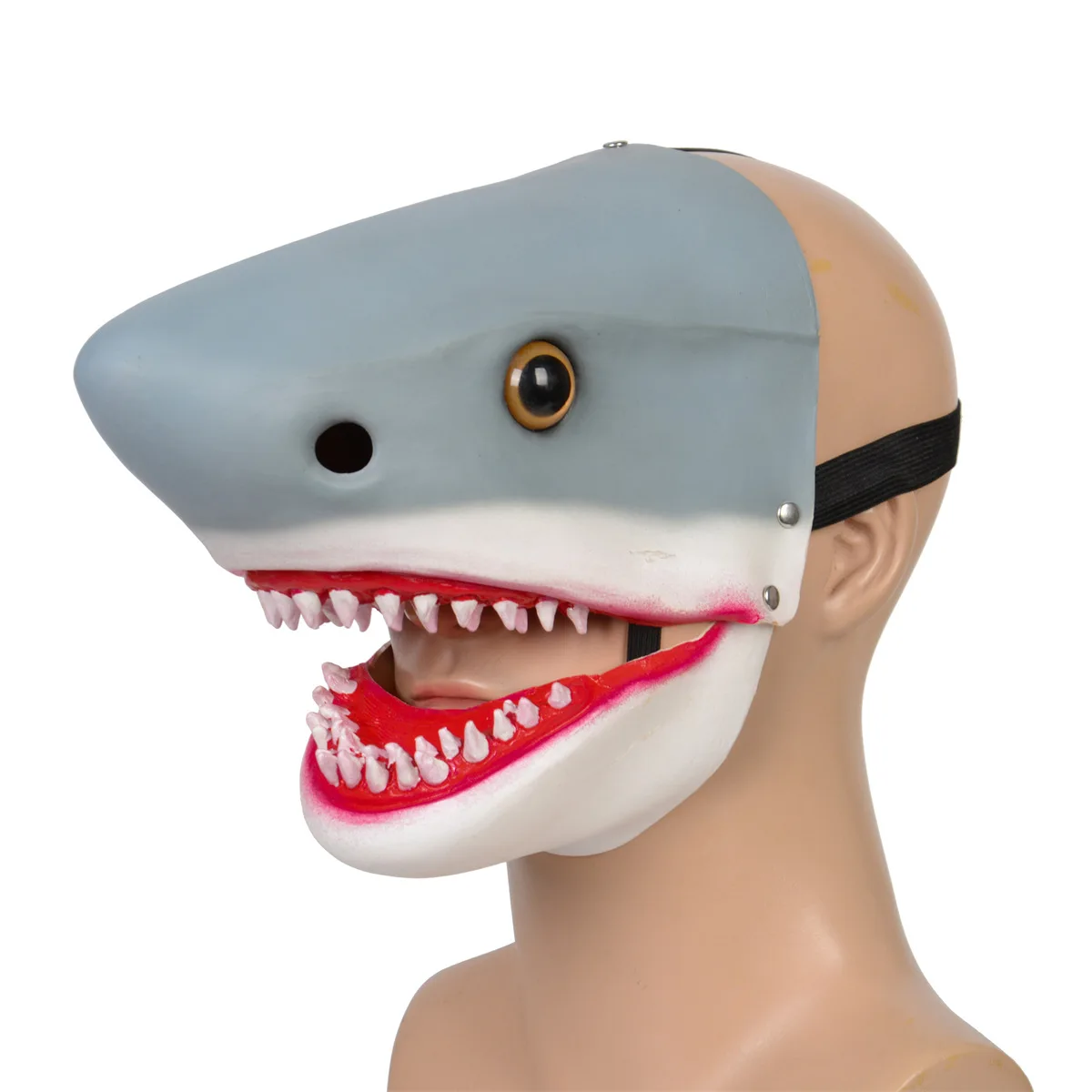 ̴   ũ, Ƽ罺  ũ,  ,    