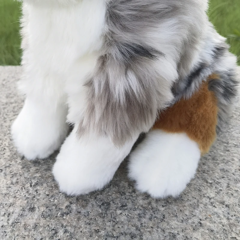 Australian Shepherd Dog High Fidelity Cute Plushie Dogs Plush Toys Lifelike Animals Simulation Stuffed Doll Toy Gifts For Kids 5