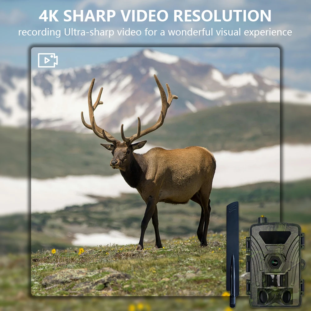 4G Hunting camera 4K day and night use wild trail camera with cloud, photo and video viewed on Apps. water proof, low glow light 4