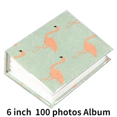 D 6 pollici 100 foto
