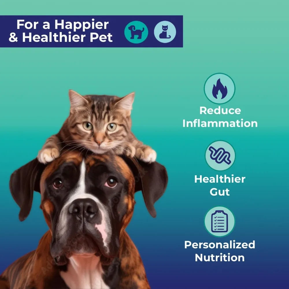 Inflammation and Immunity at-Home Test Kit Gut Health Evaluation and Expert Panel Insights Ideal for Dogs Cats Pet Essential