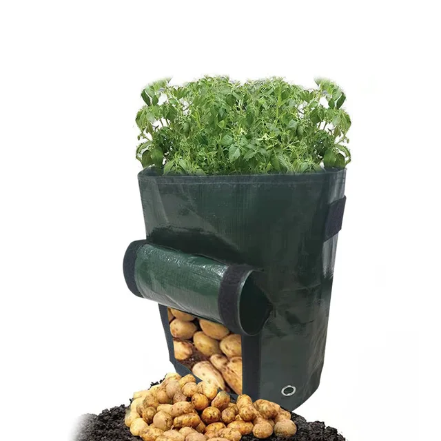 3pcs green
