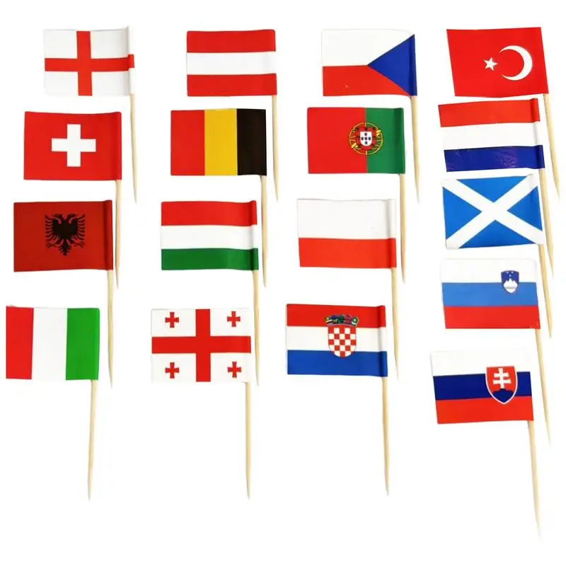 Colorful Toothpick Flags Set for International Events