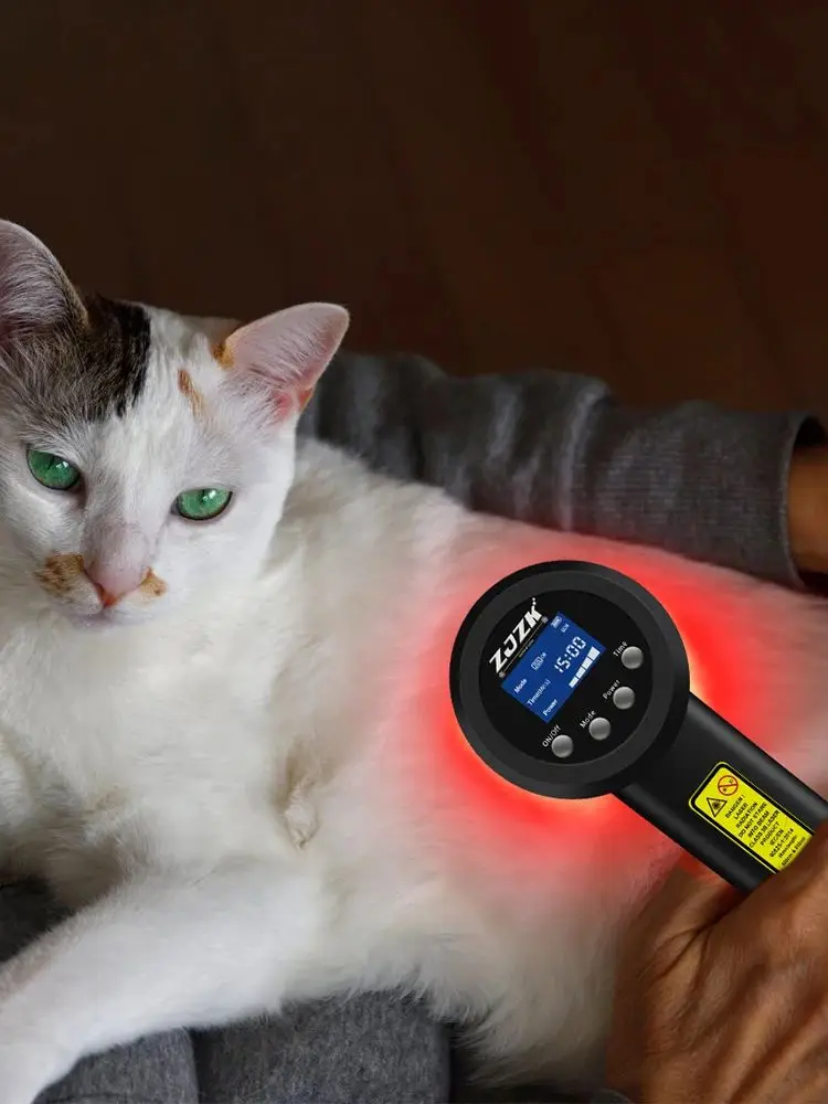 

Low Level Cold Laser Therapy Physiotherapy 200mW 808nm×15diodes Wounds Healing Laser for Pet Muscles Sports Injuries Pain Relief