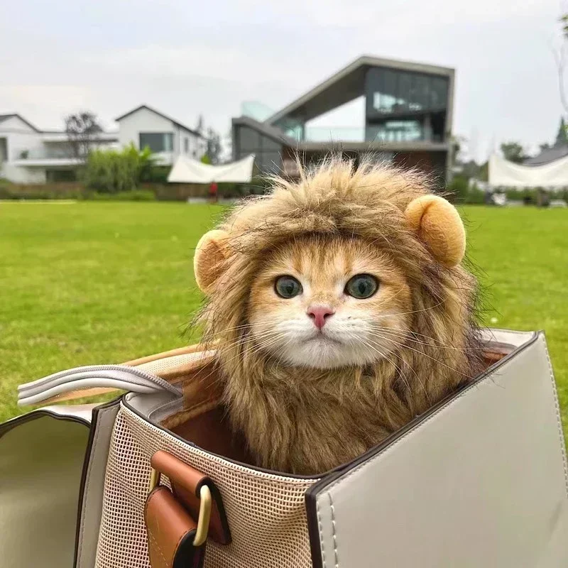 Lion Mane Hat for Cats 4