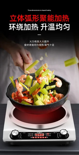 220V Powerful  Concave Induction Cooker with Fast Heating for Professional Cooking 2