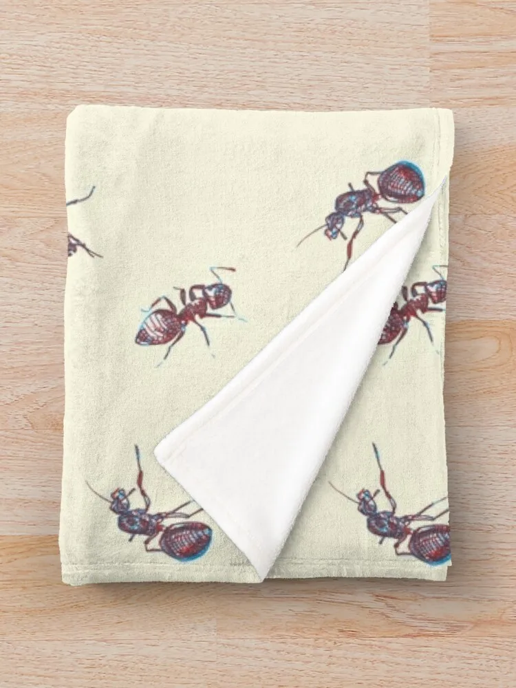 ���� ���� ������ ���, ���� �ö��� ����, �ε巴�� ū ���