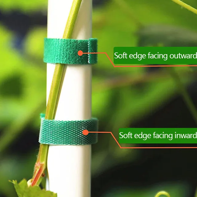 1 Roll Nylon Plant Ties Plant Bandage Hook Loop Adjustable Bandage Garden Hook Loop Bamboo Cane Wrap Support Garden Accessories 5