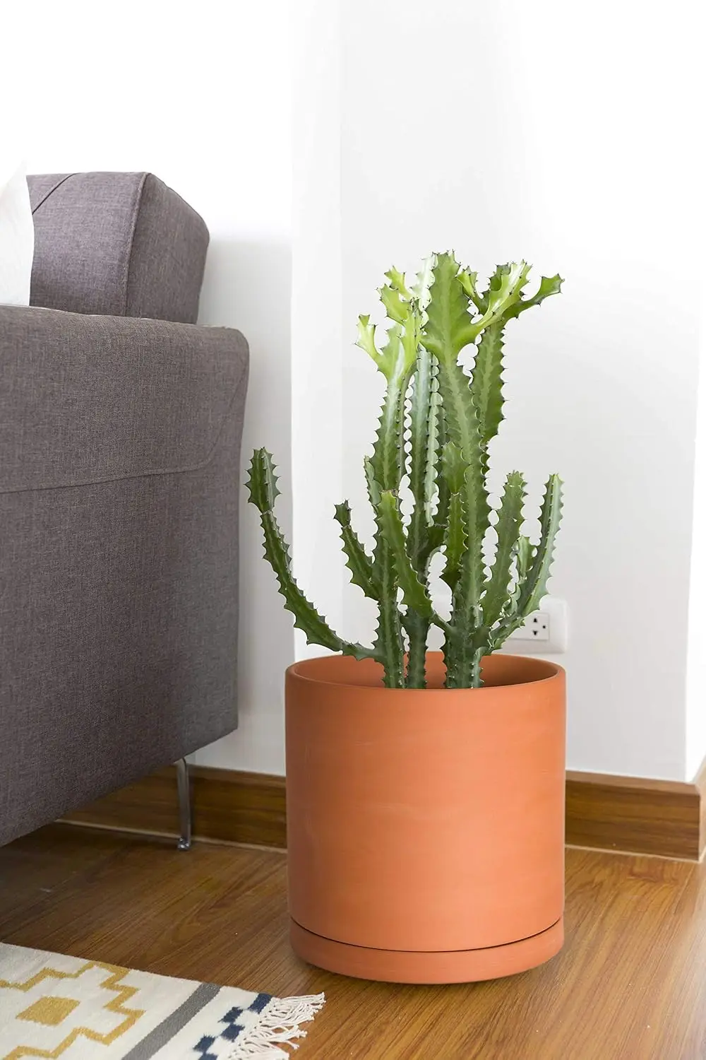 Terracotta pot on surface