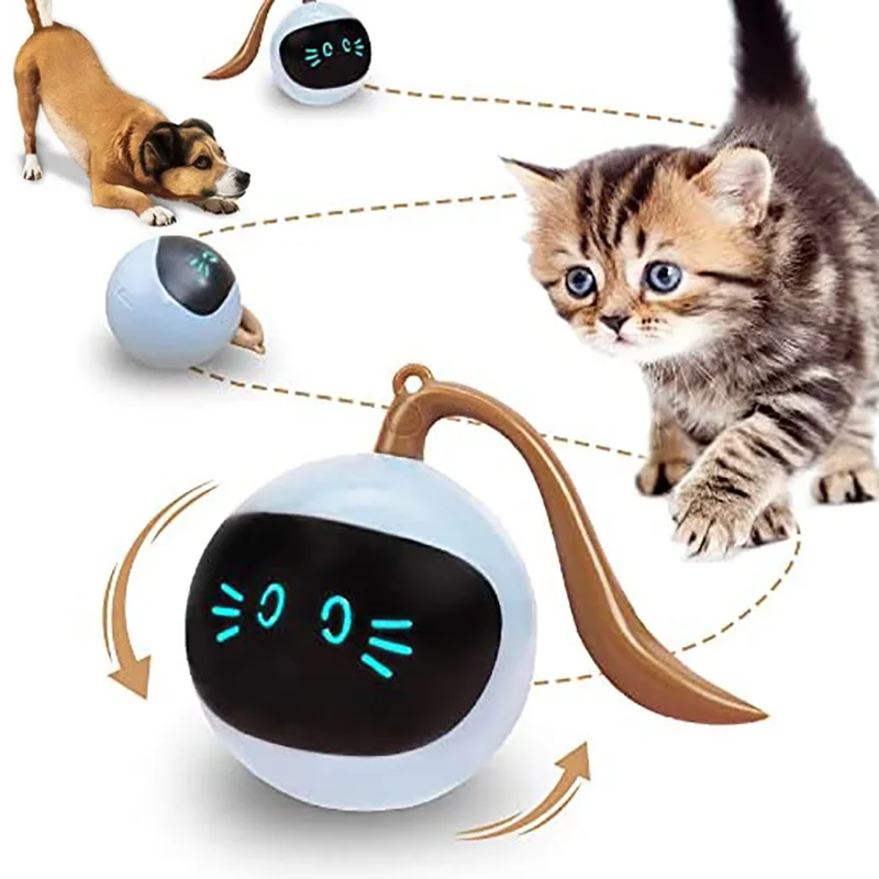 https://ae01.alicdn.com/kf/Sc3df1a8e545f49c89290826ddc4893a3O/Auto-Interactive-Cat-Dog-Ball-Toys-Electric-USB-Rechargeable-Self-Rotating-Indoor-Teaser-Selfplay-Exercise-Toy.jpg