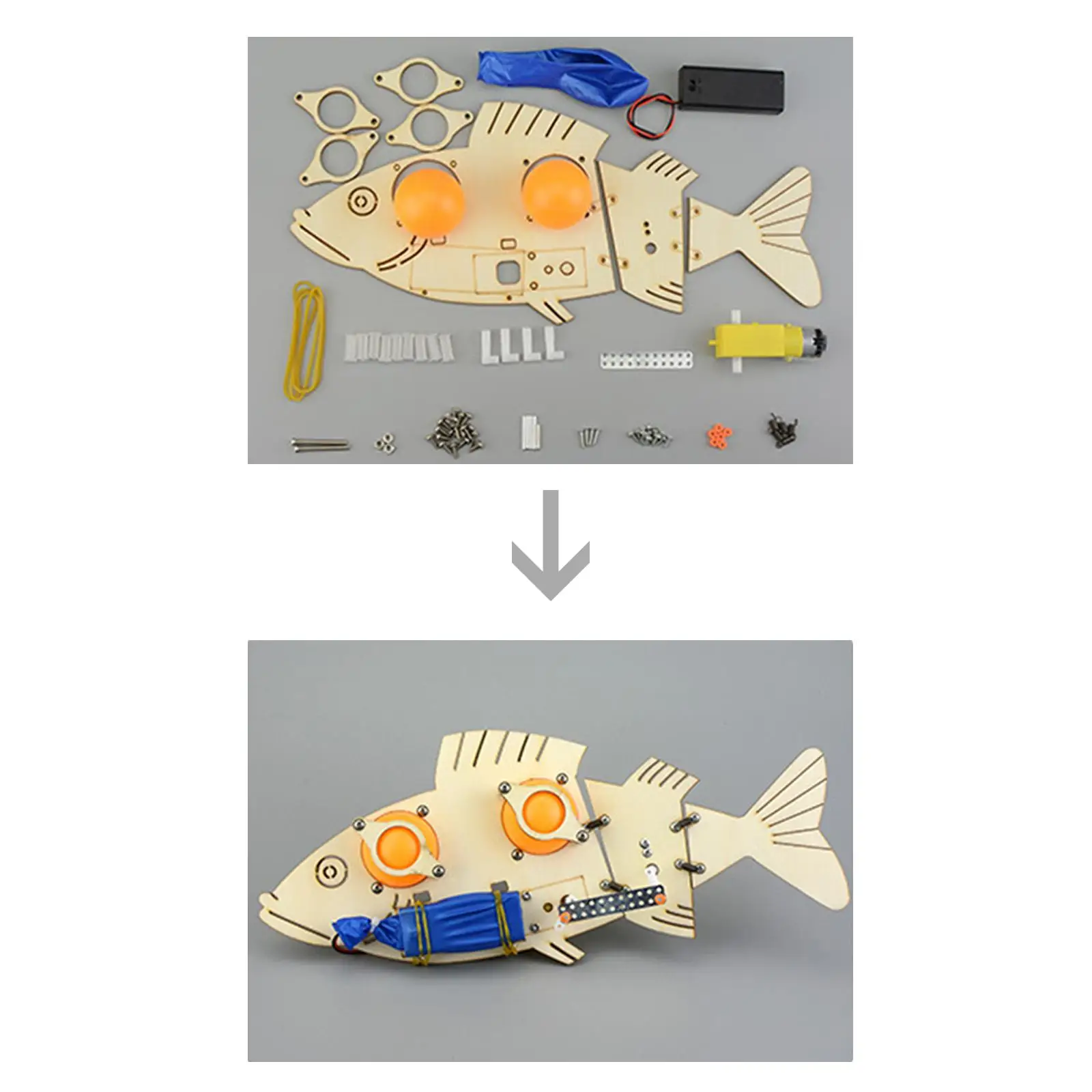 

Electric Fish Science Experiment Toy Wood Hand Assemblable Experiment Model for Teens Ages 7+ Kids Adults Girls Boys Children