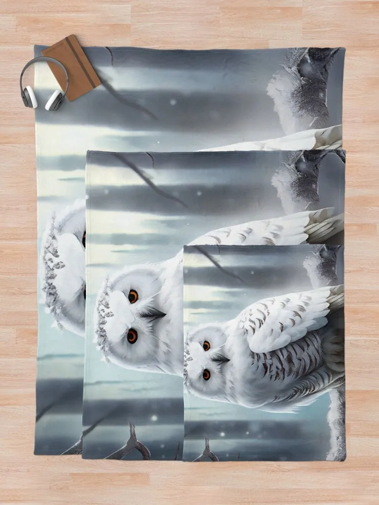 �� �û��� ������ ��� ��� ��� ��